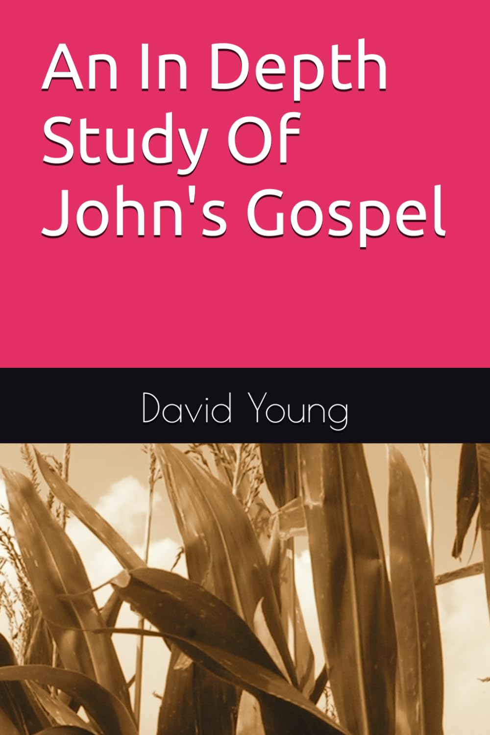An In Depth Study Of John's Gospel