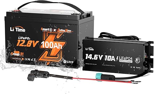 Miniatura 16 de Litime Batería LiFePO4 de motor de arrastre de 12 V 100 Ah (grupo 31), protección a baja temperatura, máx. 15000 ciclos profundos, con cargador de