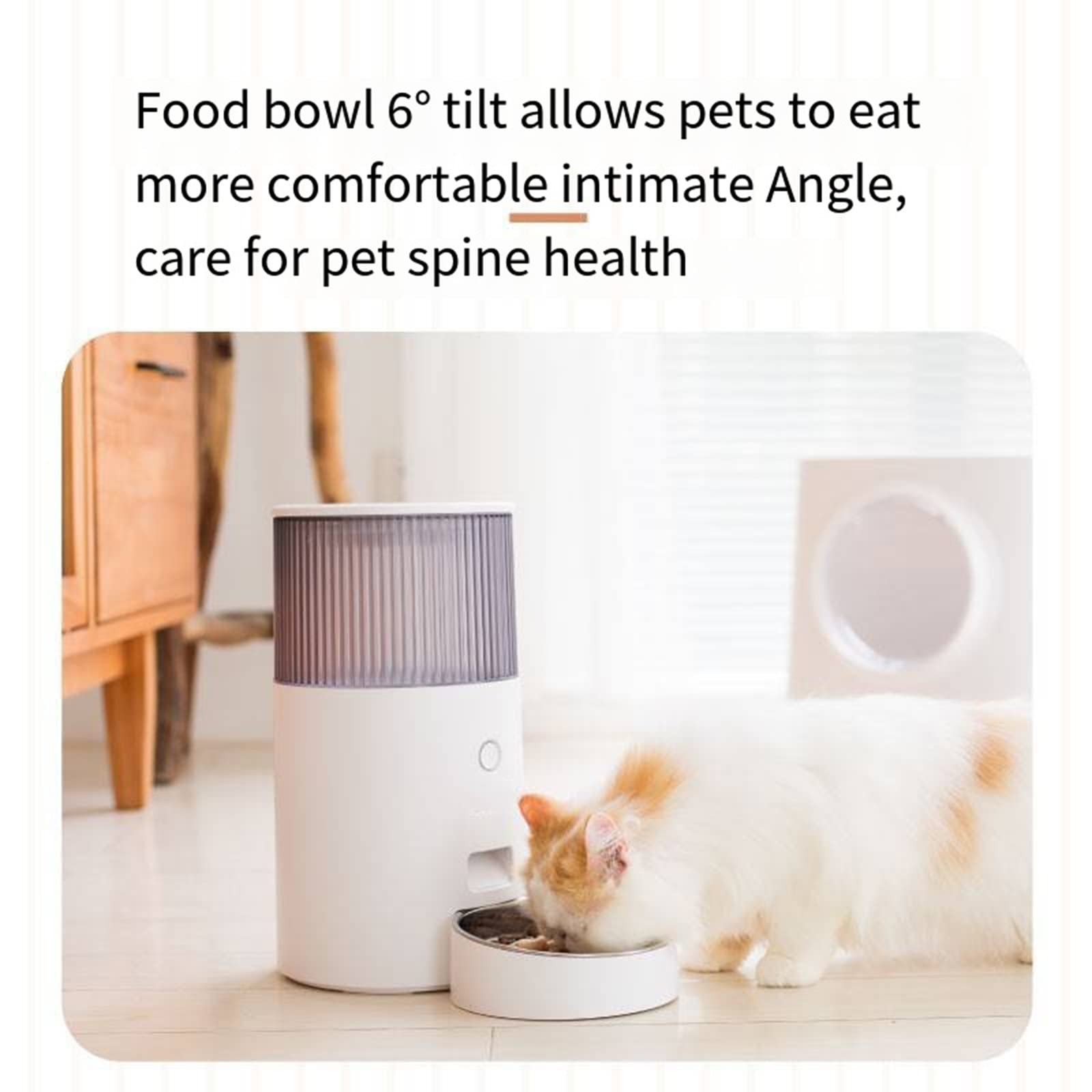 Pet Smart Feeder-Cat automatyczny podajnik karmy dla kotów pomiar czasu ilościowa samoobsługowa maszyna do karmienia psów, 2,5 l,Green