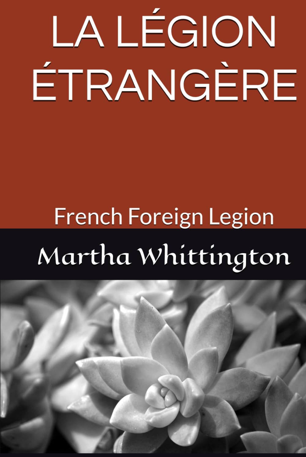 LA LÉGION ÉTRANGÈRE: French Foreign Legion (Tell Me A Story)