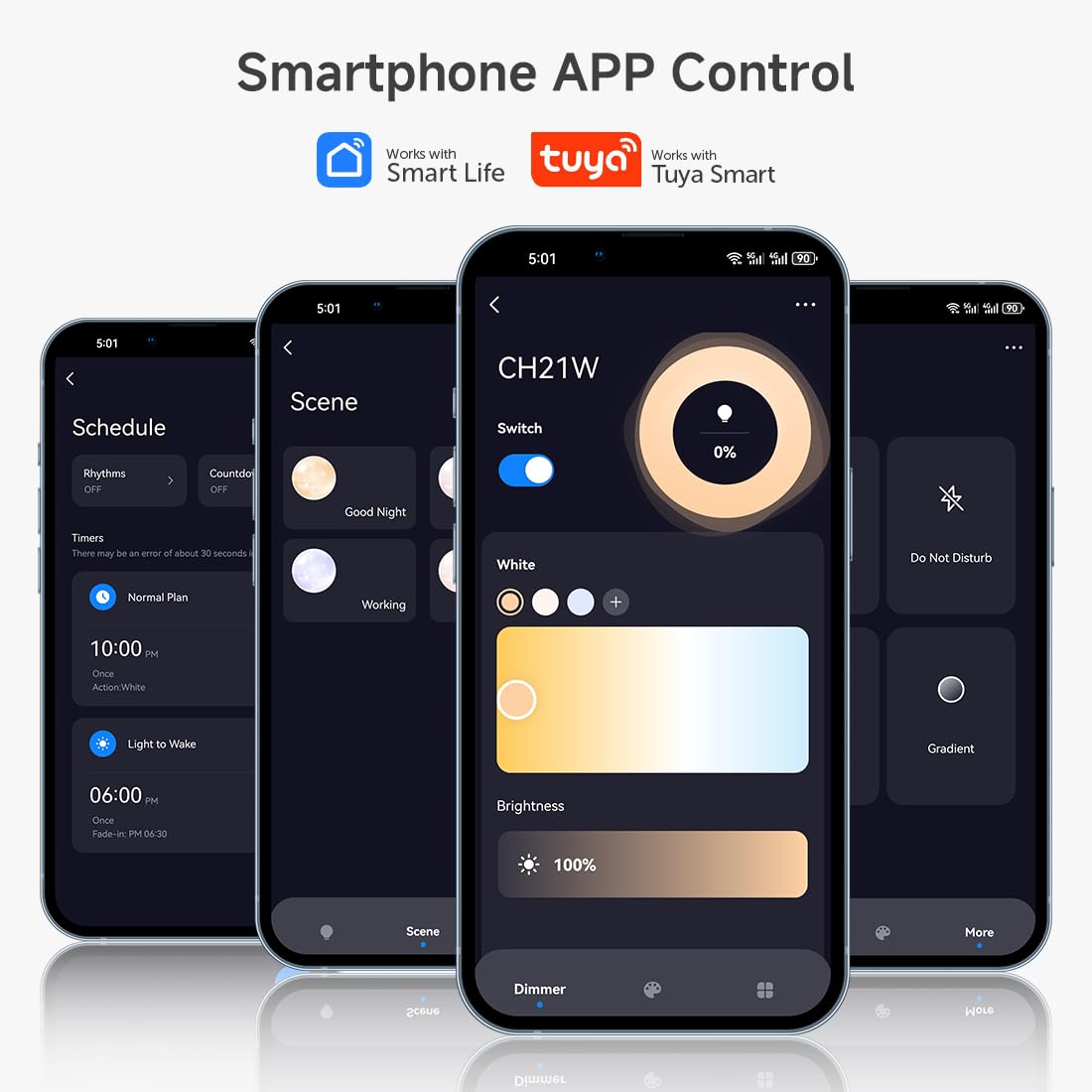 SEZO CH21W 2IN1 WiFi 2.4G RF LED Controller 20kHz Alta Frecuencia PWM Dimmer | DC12V-24V Control Monocolor CCT LED tiras para sin parpadeo, sin sonido, compatible con Alexa, Tuya y Smart Life App