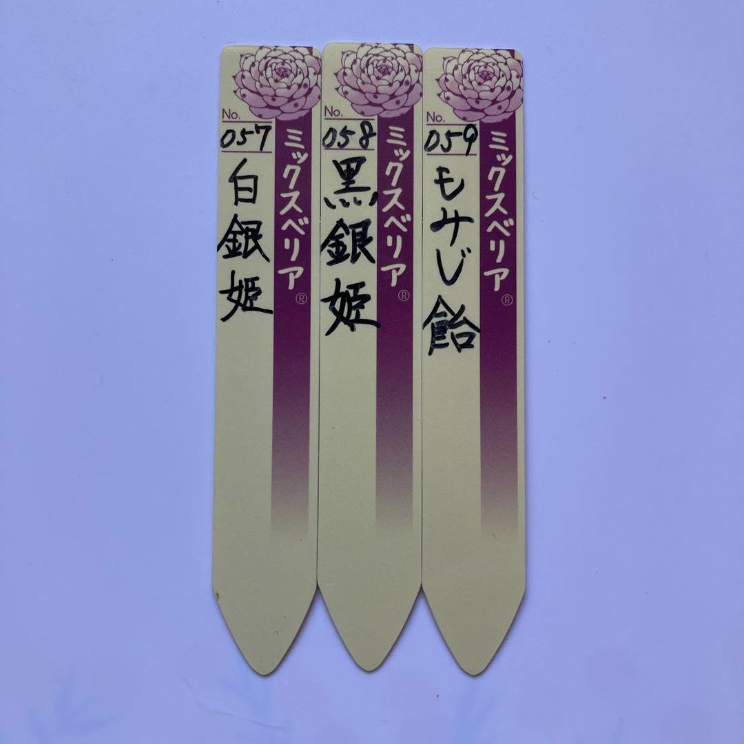 黒銀姫 もみじ飴 おらいさん ミックスベリア 札付き 黒銀姫 もみじ飴