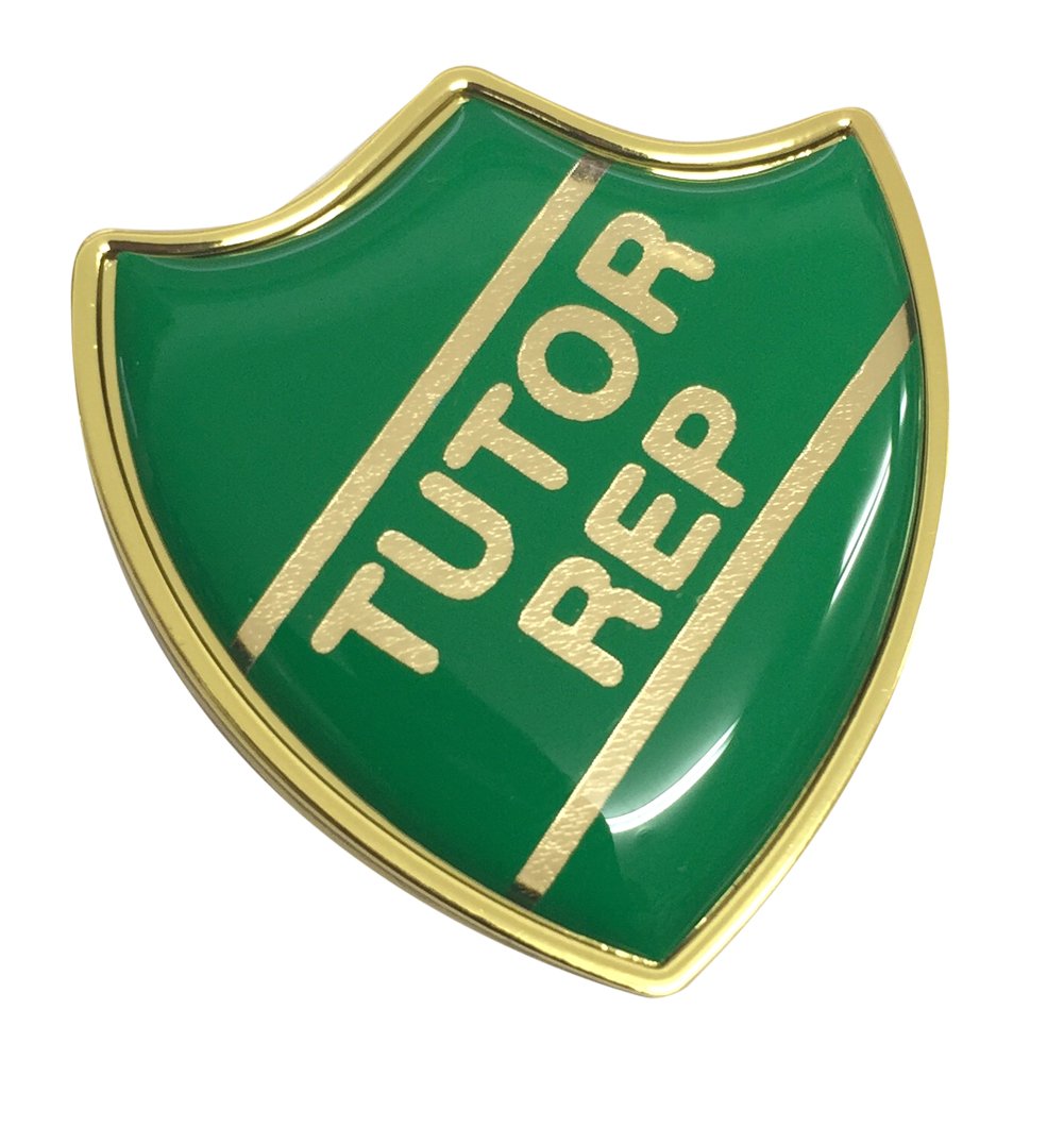 Capricornone Tutor Rep Green Gel Domed School Shield Badge