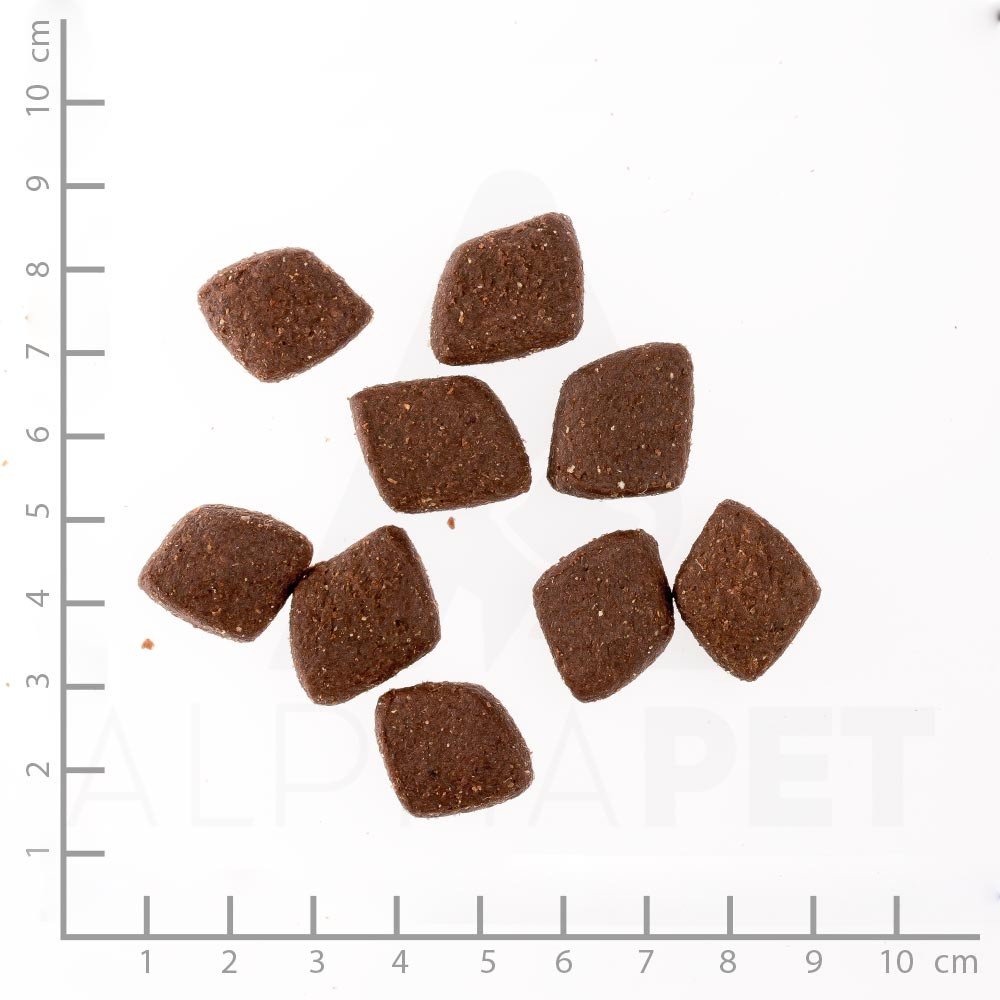 Wildes Land Halbfeuchtes Trockenfutter für Hunde Nr. 1 Lamm 5 kg | Mit Reis und Wildkräutern, Glutenfrei, Extra viel Fleisch, Für alle Hunderassen