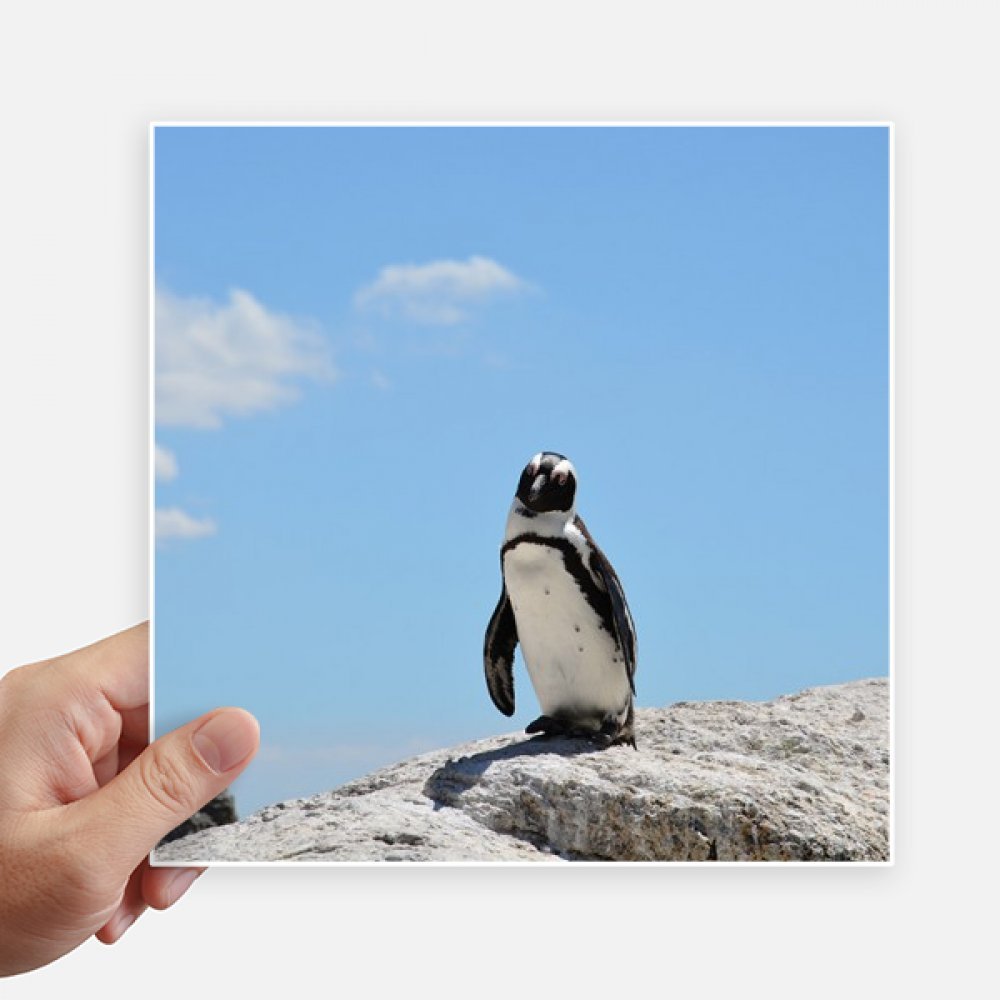 Autocollant photo océan nature de 20 cm pour personnaliser une moto ou un mur intérieur