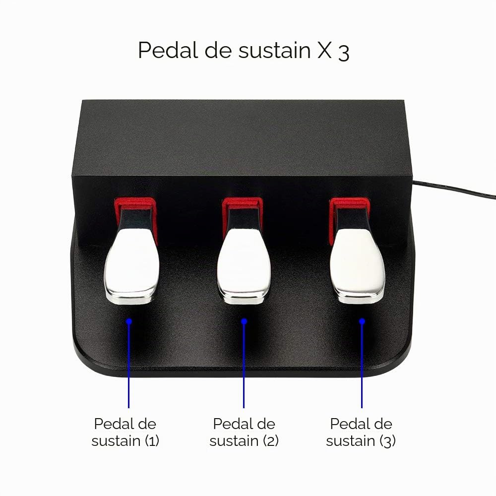 Pedal de 3 sostenidos, pedal de triple amortiguador de 6,35 mm, enchufe universal para teclados electrónicos y pianos digitales, piano eléctrico, teclados MIDI, sintetizador (negro)