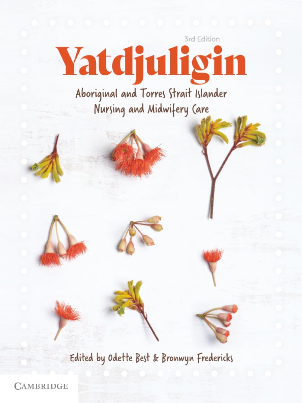 Yatdjuligin: Aboriginal and Torres Strait Islander Nursing and Midwifery Care