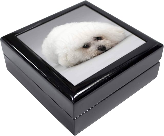 Advanta Group Bichon Frise Dog Keepsake/Jewellery Box