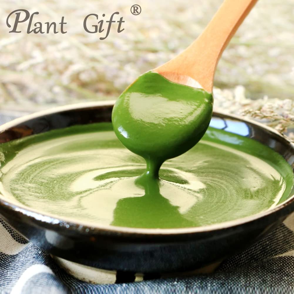 Plant Gift 100% Pur Poudre de Feuilles de Mûrier 桑叶粉, Pour Boissons 100g/3.25oz