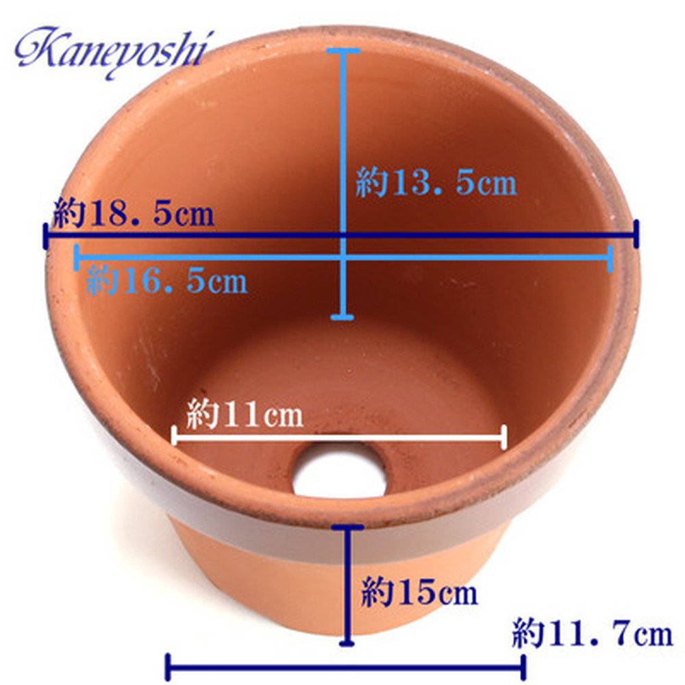 Amazon.co.jp: 鉢 KANEYOSHI 【日本製/安心の国産品質】 陶器 植木鉢
