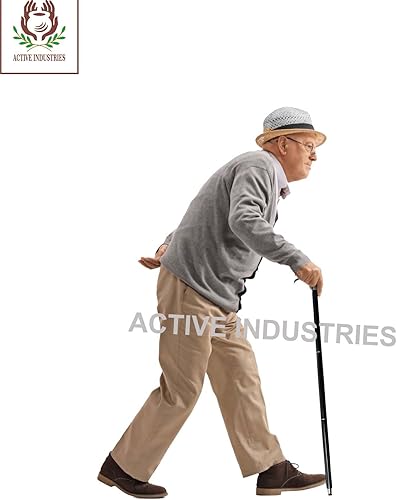 Miniatura 6 de Bastón rústico de madera antigua con mango de cabeza de delfín de latón plateado náutico