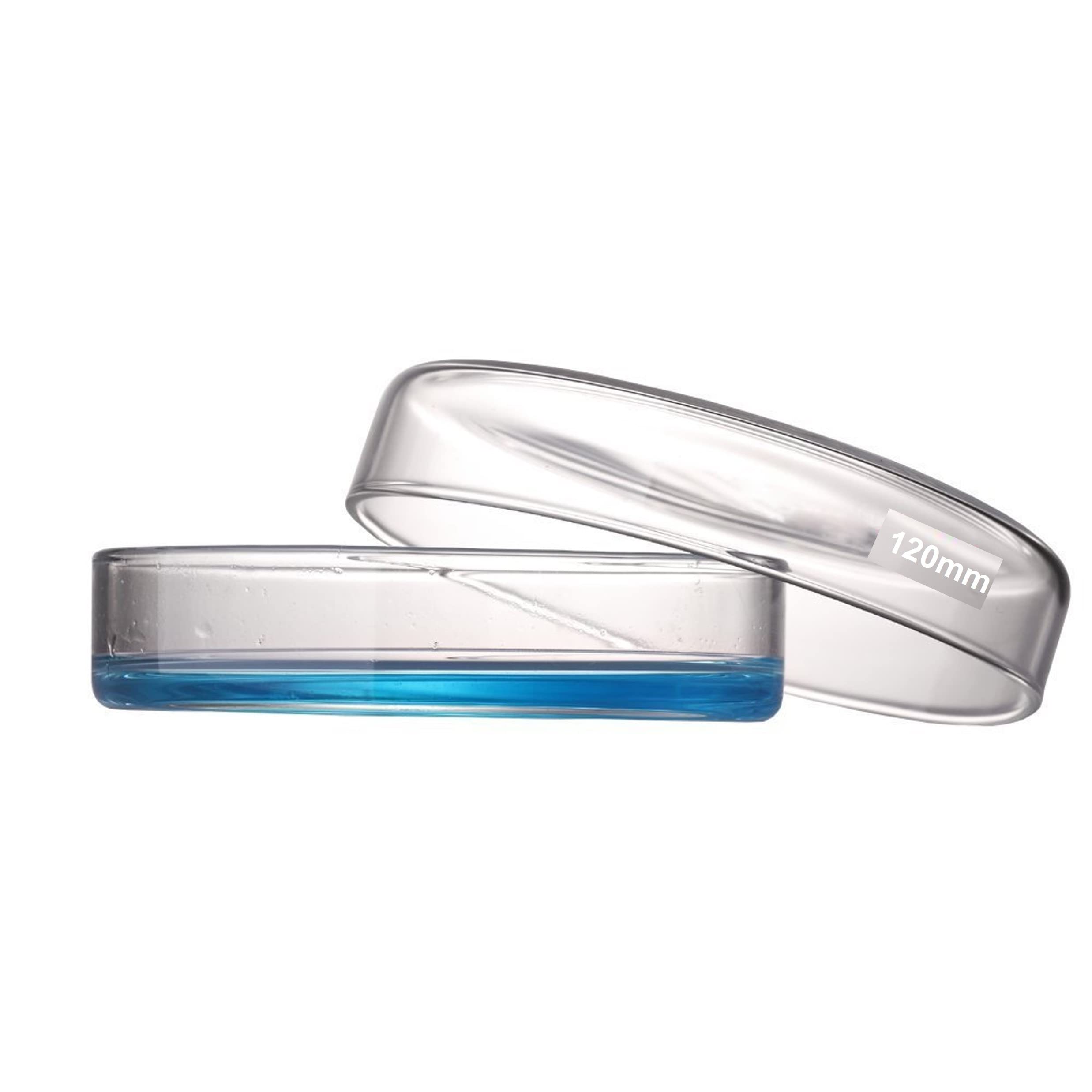 Microyn Borosilicate Glass Petri Dish with Lid, Tissue Culture Dish (120 mm, Pack of 5)