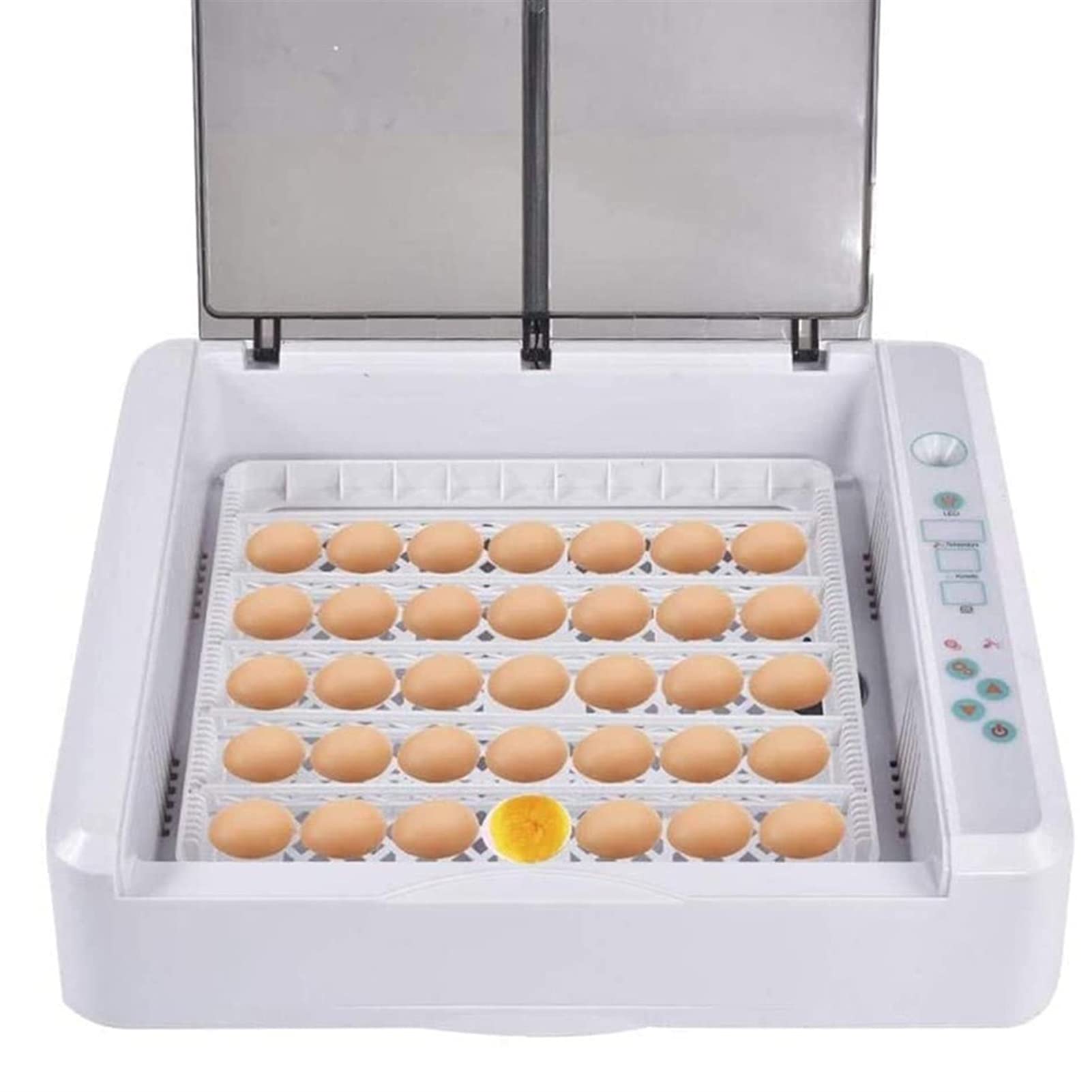 Amazon.com: BSNANCA 36 Eggs Incubator Digital Clear Poultry