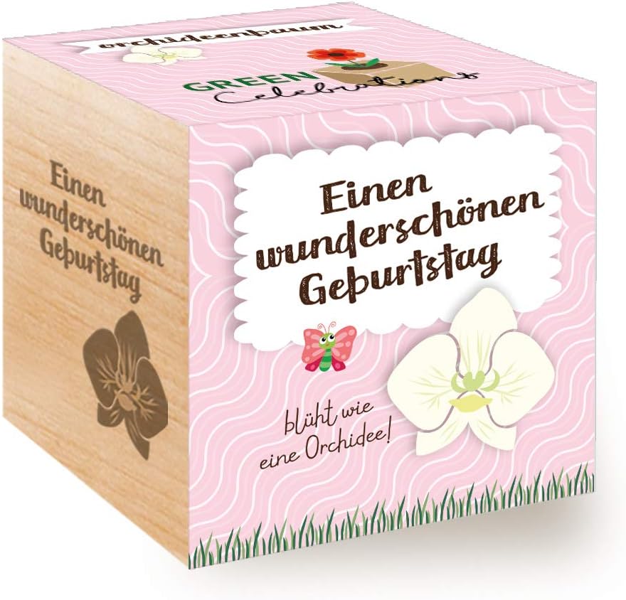 Feel Green Ecocube Weihnachtsbaum - Nachhaltiges Anzuchtset Aus Österreich