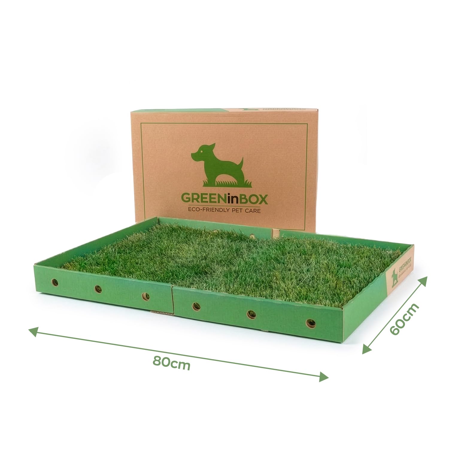XL Zolla in Vera Erba per Cani – Lettiera Naturale per Training Cucciolo e Cani in Appartamento, Taglia Grande 60x80 cm