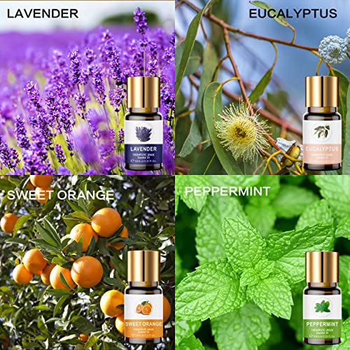 Kouruilife Essential Oils Set, 100% Organic Essential Oil thumb #2
