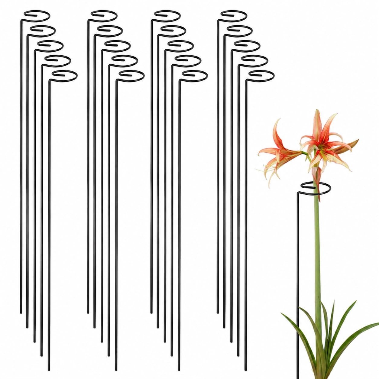 Lot de 20 piquets de 61 cm pour plantes d'extérieur, piquets de support pour plantes de jardin à tige unique pour jardinage, fleurs, orchidée, pivoine, lys et rose