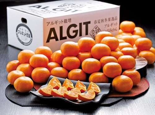 2025NΕ ÉOY AMbg݂ 4kg