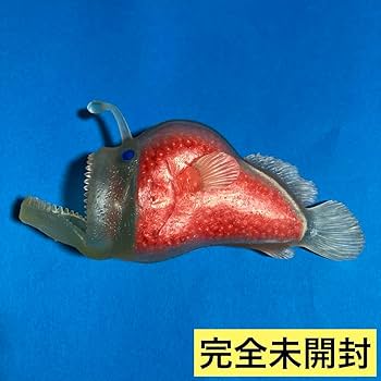【激レア】ミツクリエナガチョウチンアンコウ♀ ホルマリン標本 激レア】ミツクリエナガチョウチンアンコウ♀ ホルマリン標本
