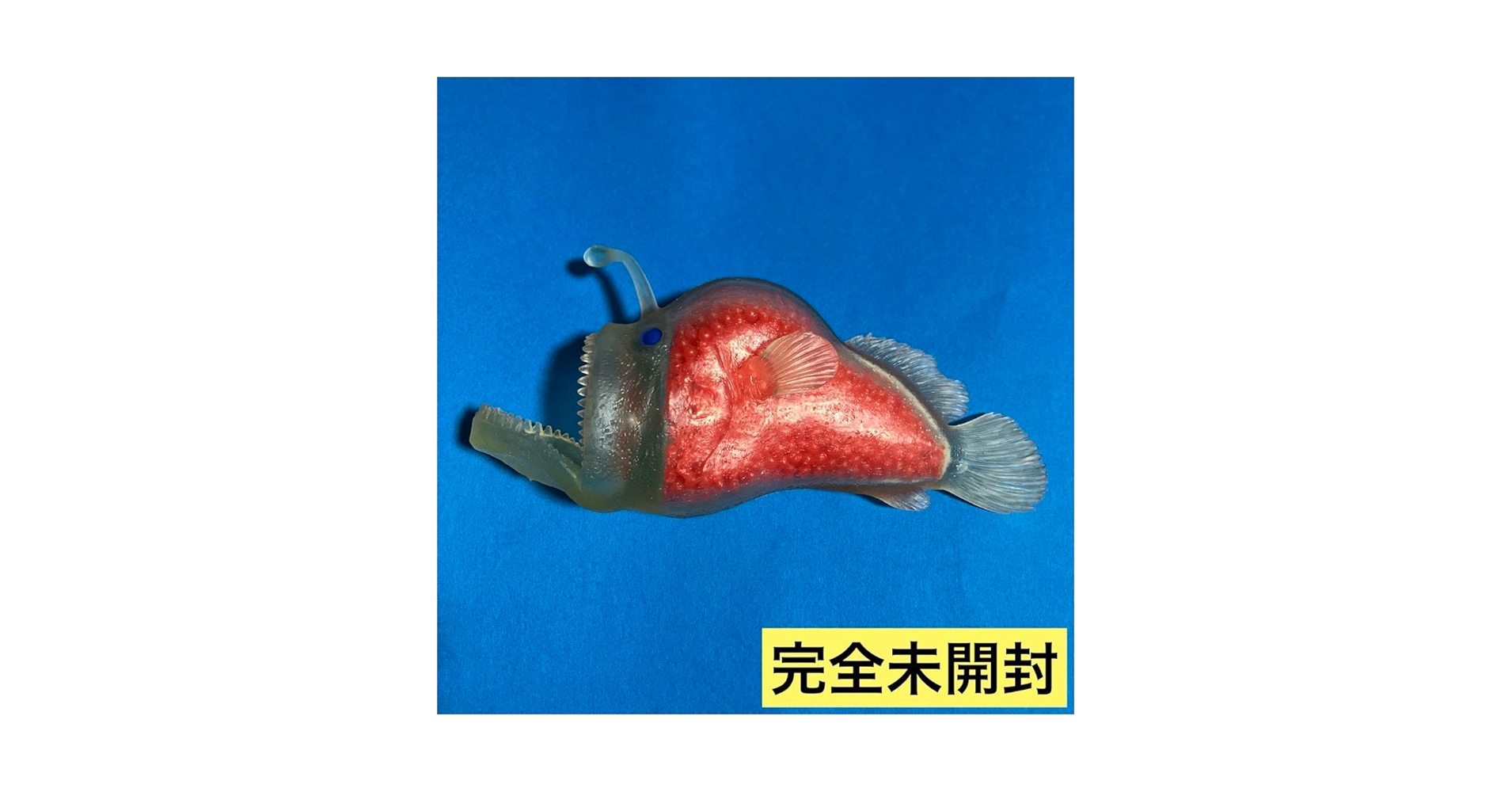 【激レア】ミツクリエナガチョウチンアンコウ♀ ホルマリン標本 激レア】ミツクリエナガチョウチンアンコウ♀ ホルマリン標本 - メルカリ