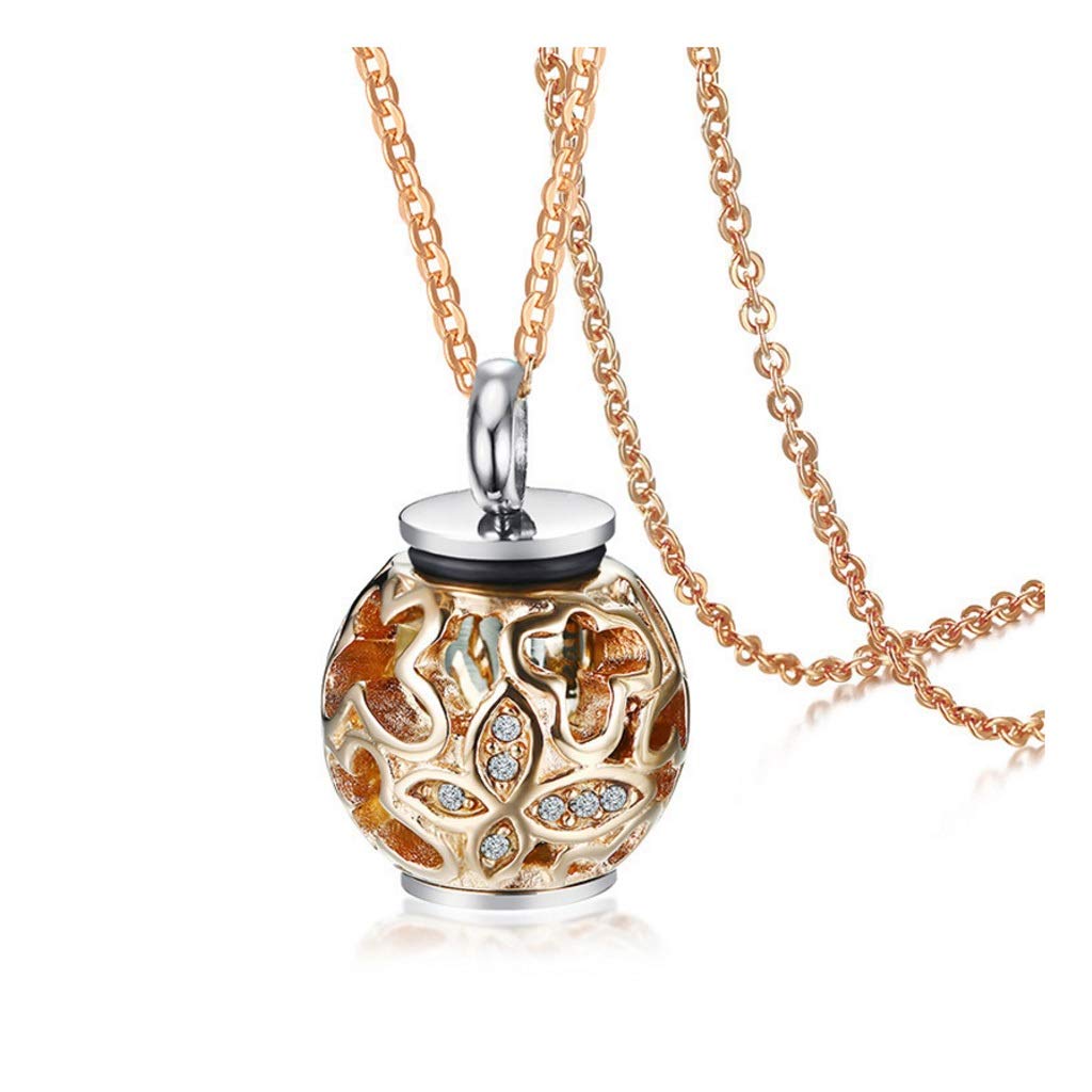 Hasayo Ashes Necklace Cremation Urn Pendant Jewellery Retro Steel for Memory of Pet Memorial Dog Keepsake Meaningful Golden