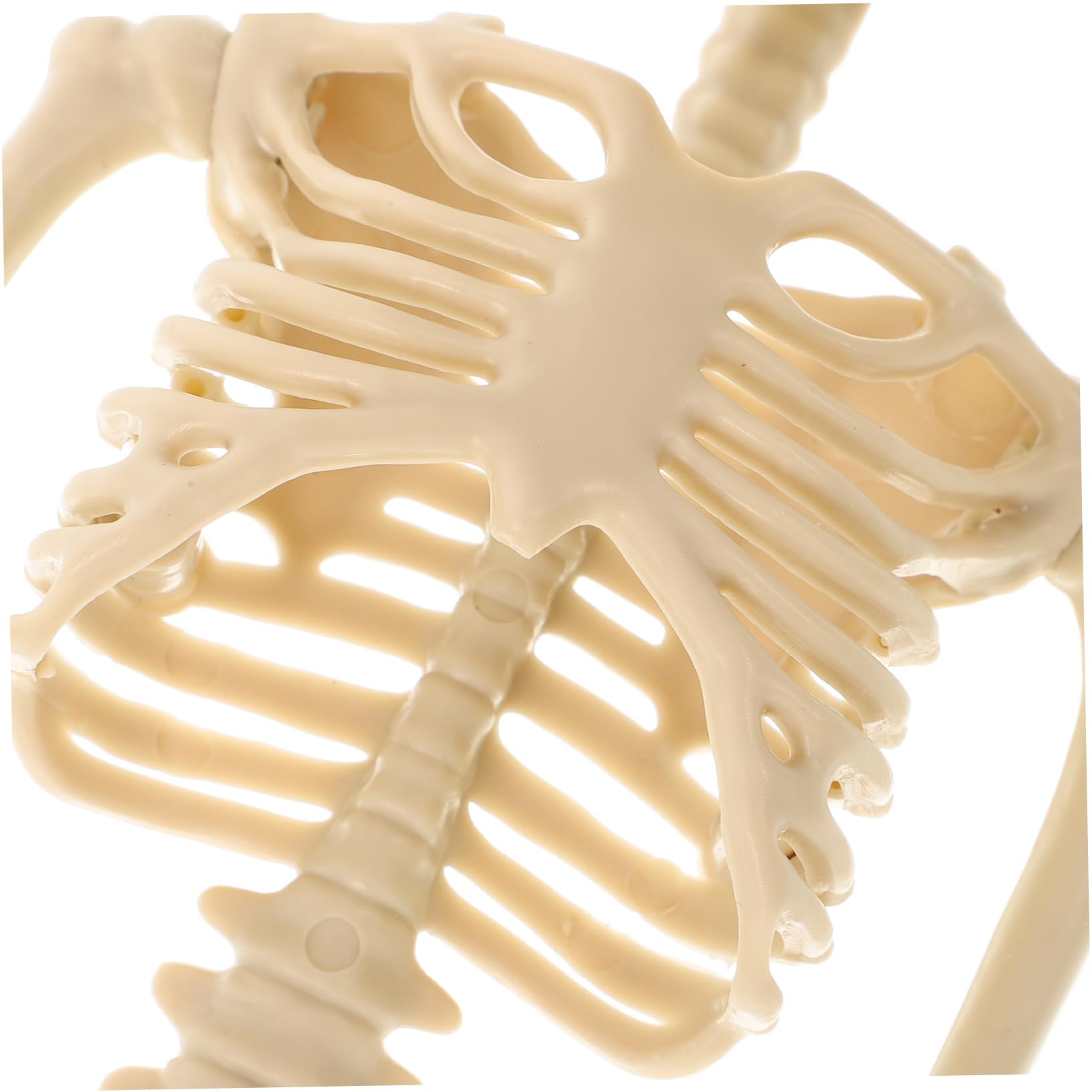 Gatuida 3pezzi Scheletro Simulato Per Decorazioni Halloween Accessorio Per Decorazione Per Infestate