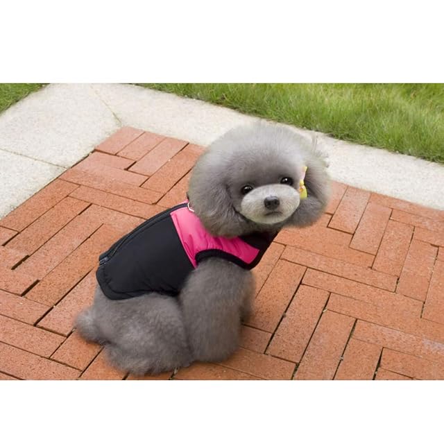 Foto 6 de 7 de Ectkuee Capa de la Chaqueta del Perro a Prueba de Agua