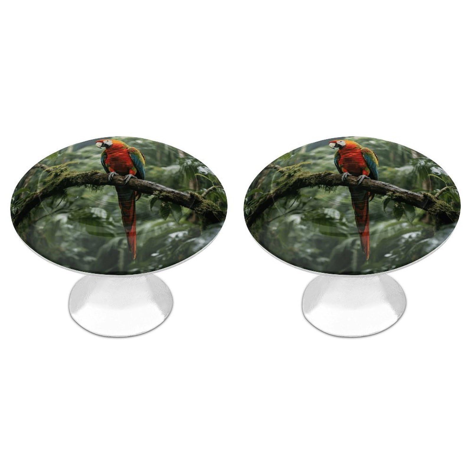 Vstadank Style Parrot_rainforest Drawer Knob Nice Bathroom Cabinet Knob Round Cabinet Pull Stainless Steel Cabinet Handle Circle Drawer Handle Modern Drawer Pull For Wardrobe Cupboard 2 Pcs