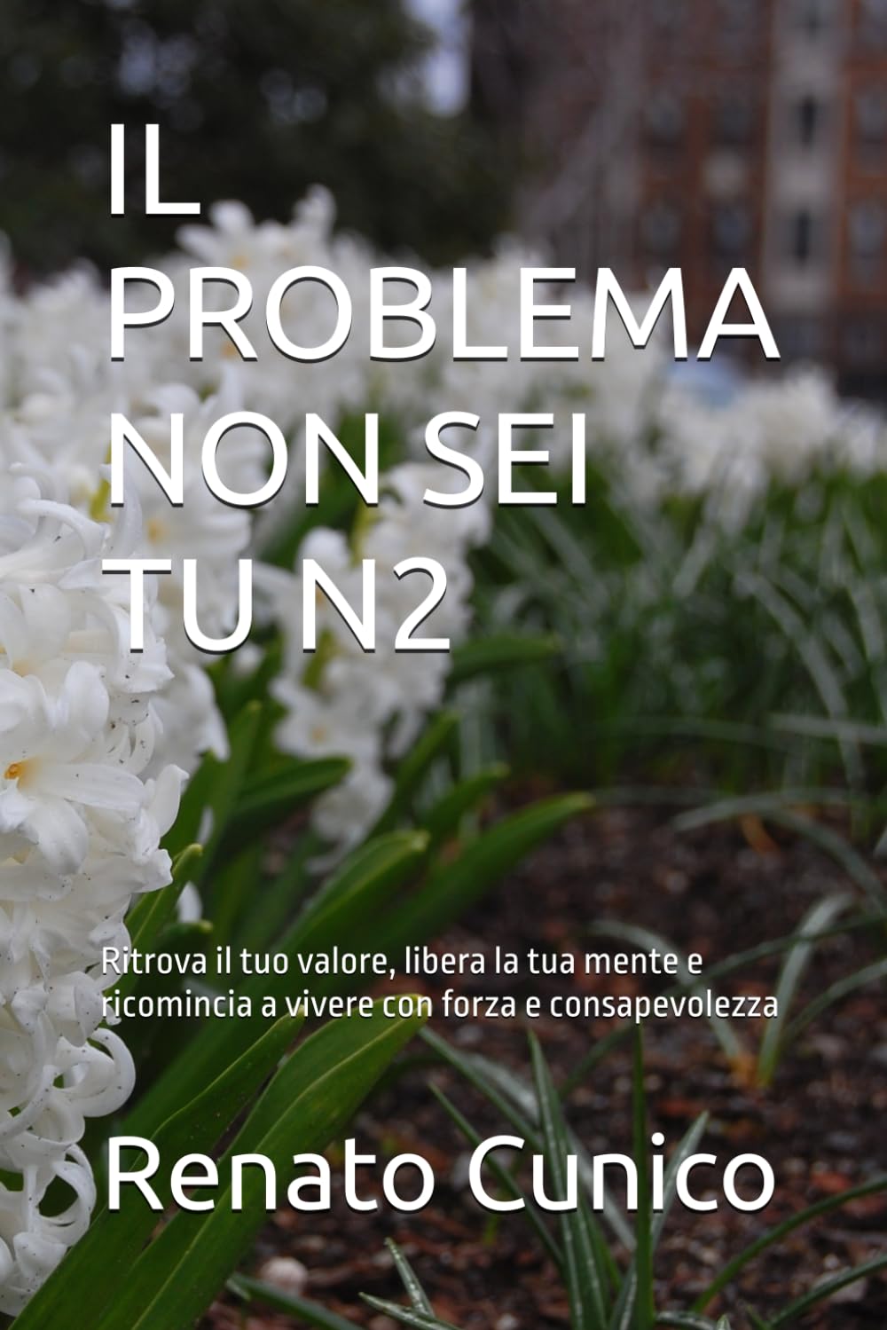 IL PROBLEMA NON SEI TU N2: Ritrova il tuo valore, libera la tua mente e ricomincia a vivere con forza e consapevolezza