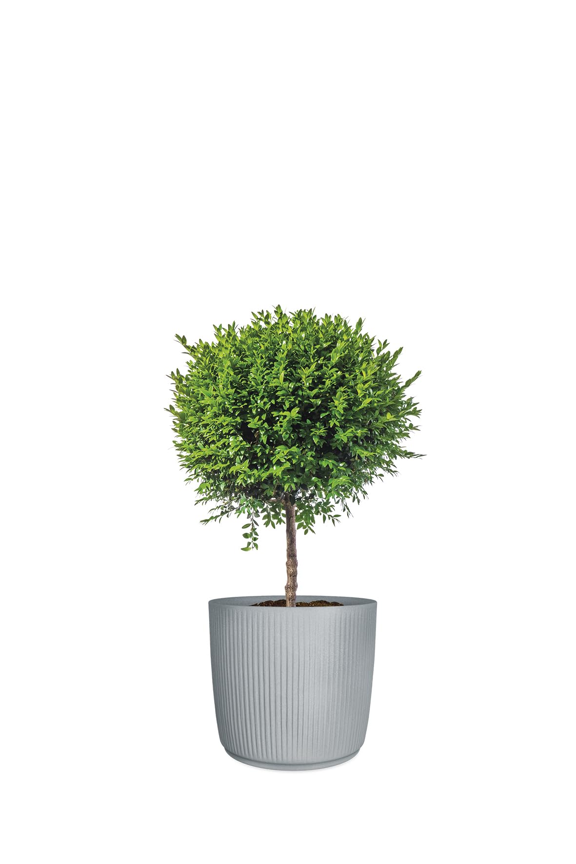 Scheurich Linetto 40 - Pot de Fleurs Rond - Gris Pierre - Fabriqué en Plastique recyclé - pour l'extérieur
