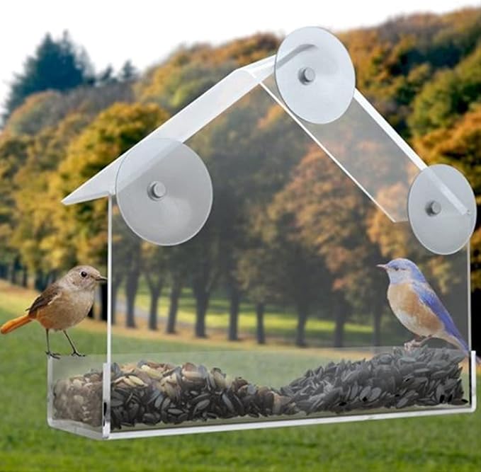 CUQOO Premium Window Bird Feeder Bird Seeds Feeder and Shelter