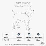 Ver la foto 6
