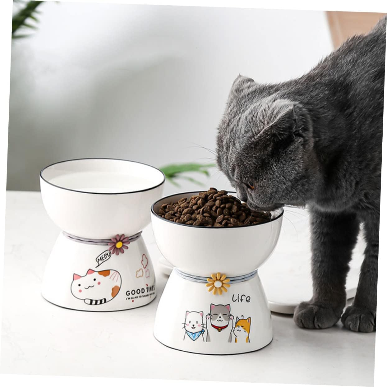 1Set Elevated Cat Bowl Cute Design for Healthy Feeding Capacity Water Food Bowls User Friendly Structure Easy to Clean for Cats Kittens Pet Feeding
