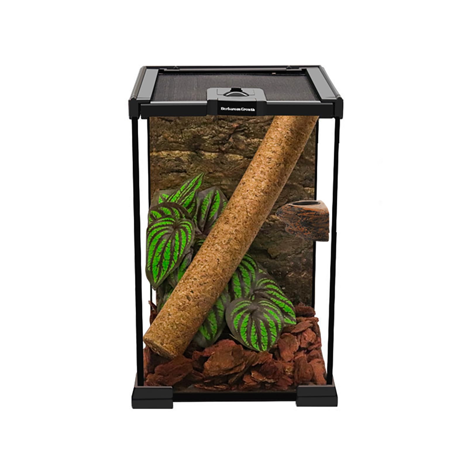 Terrario per rettili, Paludario, Teca per serpenti, Tartarughiera, Scatola di alimentazione rettile, piccolo acquario, trasparente, adatto per barba, ragno, lucertola(vetro-20 * 20 * 30cm)