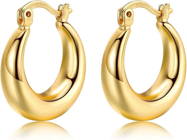 Sterling Silver Hoop Earrings for Women, Silver Chunky Hoop Earrings Small Hinged Hoops EarringsHypoallergenic Hoop Earrings Jewellery for Girls MenOuter Diameter: 18mm