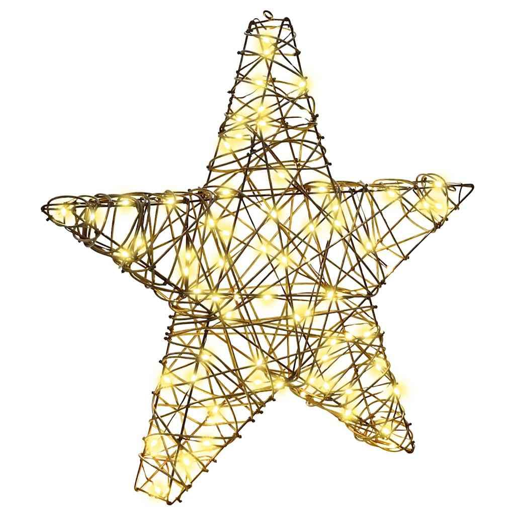 vidaXL Estrella 3D 50 LED cálido 55 x 52.5 x 9 cm Ratán