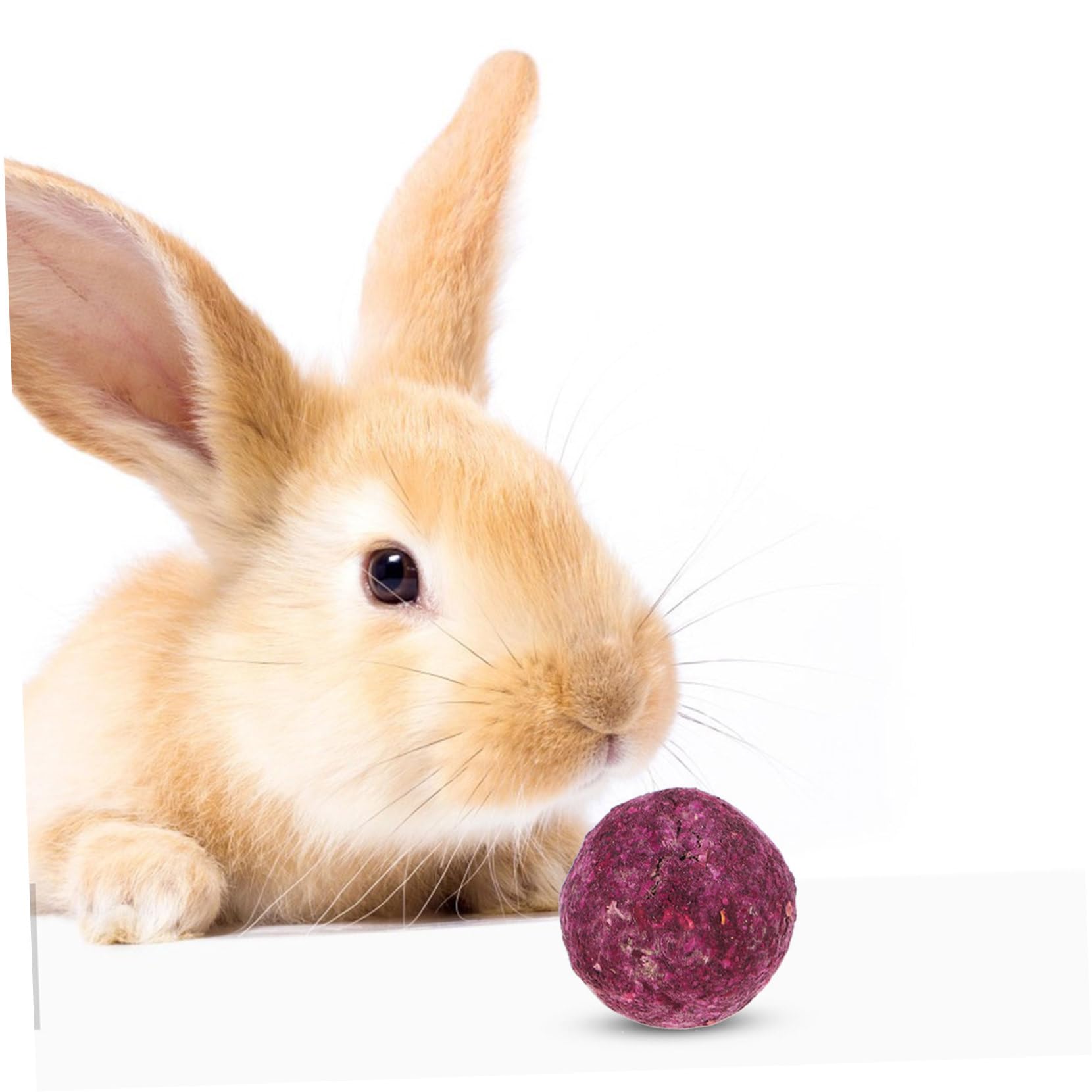 Jouet à Mâcher pour Lapin et Petit Rongeur, Lot 36 Pièces en Plante
