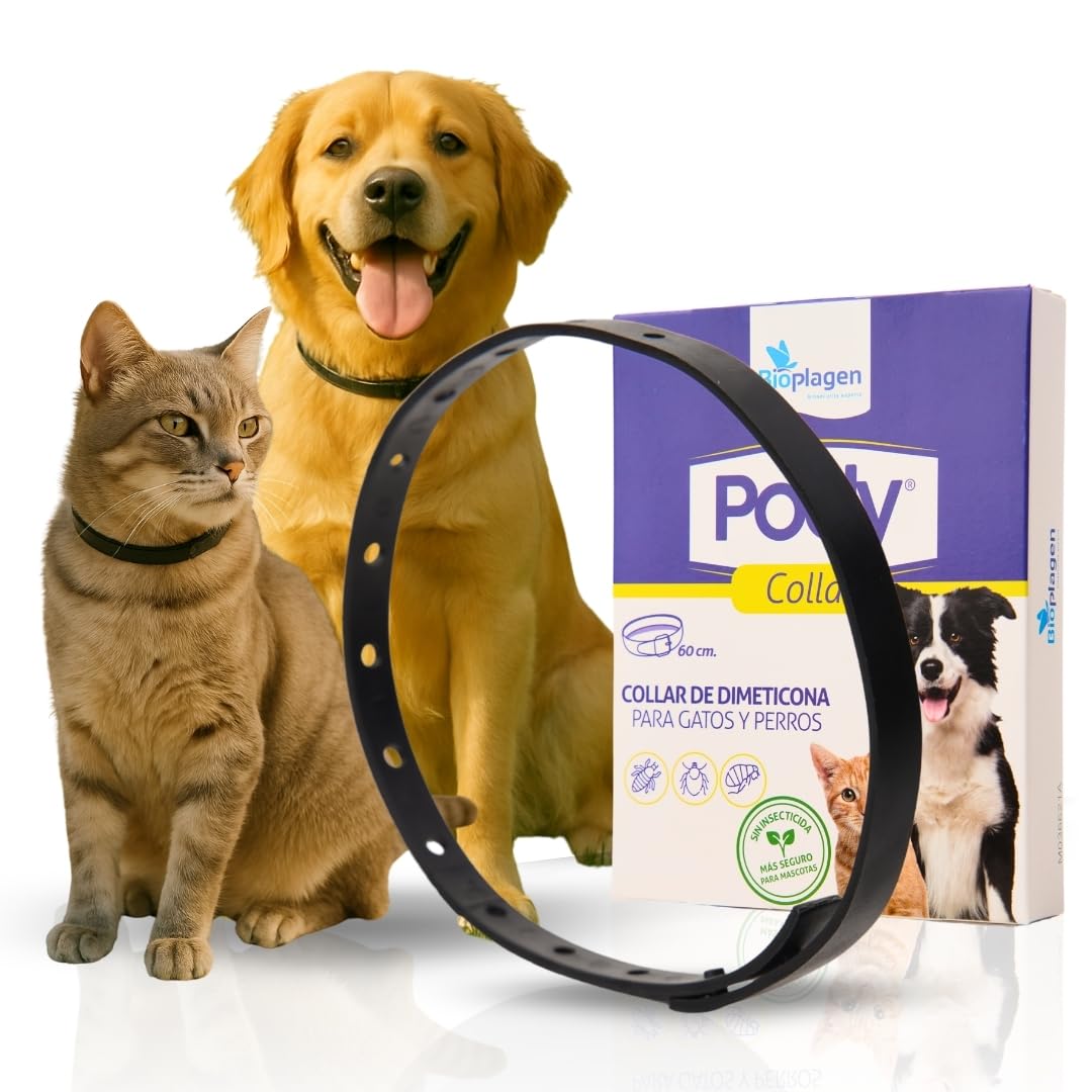 Collar Antiparasitario Perros y Gatos 60 cm – 8 Meses Protección con Dimeticona – Repelente de Pulgas, Garrapatas, Mosquitos y Piojos – Natural, Impermeable, sin Insecticidas (2 Collares)