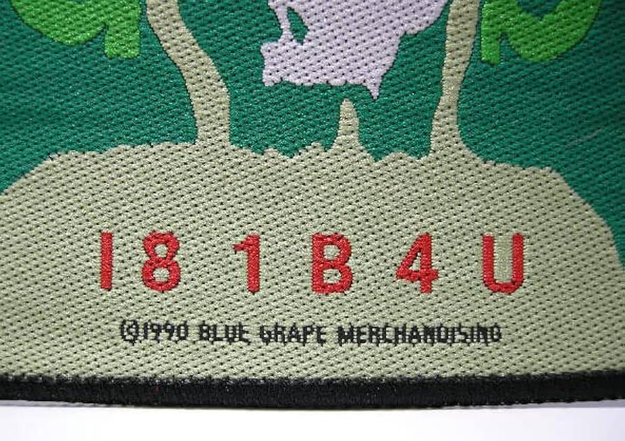 Amazon.co.jp: GANG GREEN SKULL SKATES Wネーム ワッペン 90s