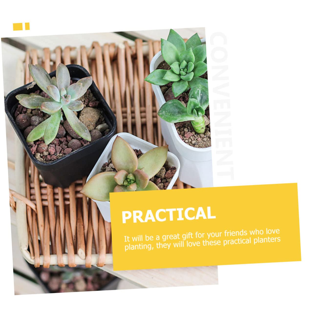 Kisangel 60 Pièces Pot De Semis Jardinière De Départ Pots De Plantes s De Plantation Polyvalents ES pour L' Jardinière Succulente De Fleur Mini PP