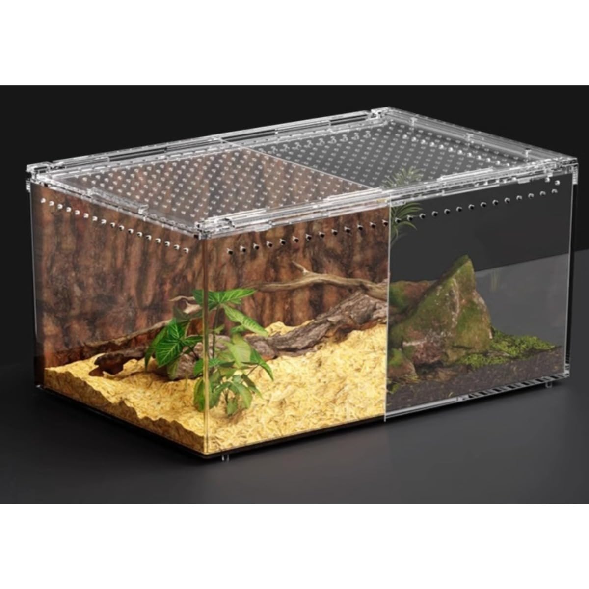 Amazon | ChoyClit レプタイルボックス 爬虫類 飼育ケース 虫かご 大