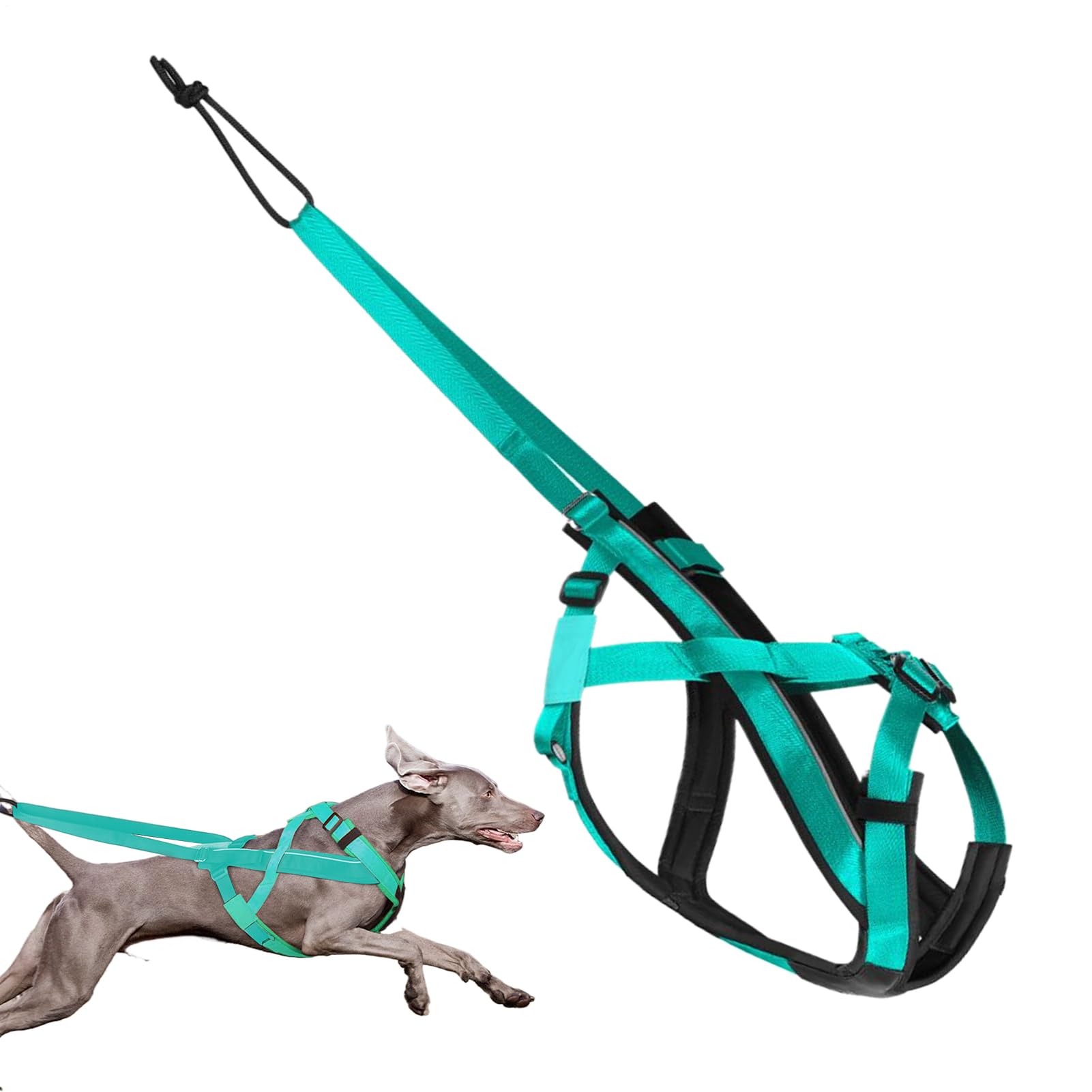 Harnais chien course réfléchissant avec sangle de traction réglable
