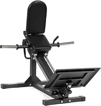 Amazon.co.jp: Titan Fitness プレートロード専用リニアハック