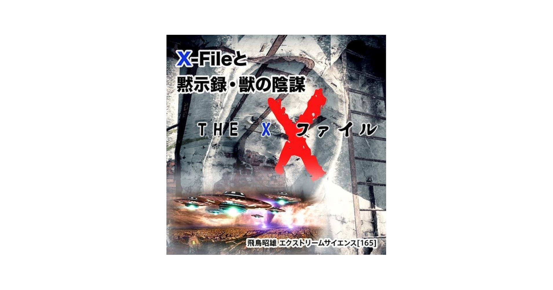 DVD よくわかるシャント音と自己管理　中外製薬 音楽作品とその同一性の問題 | ロマン・インガルデン, 安川