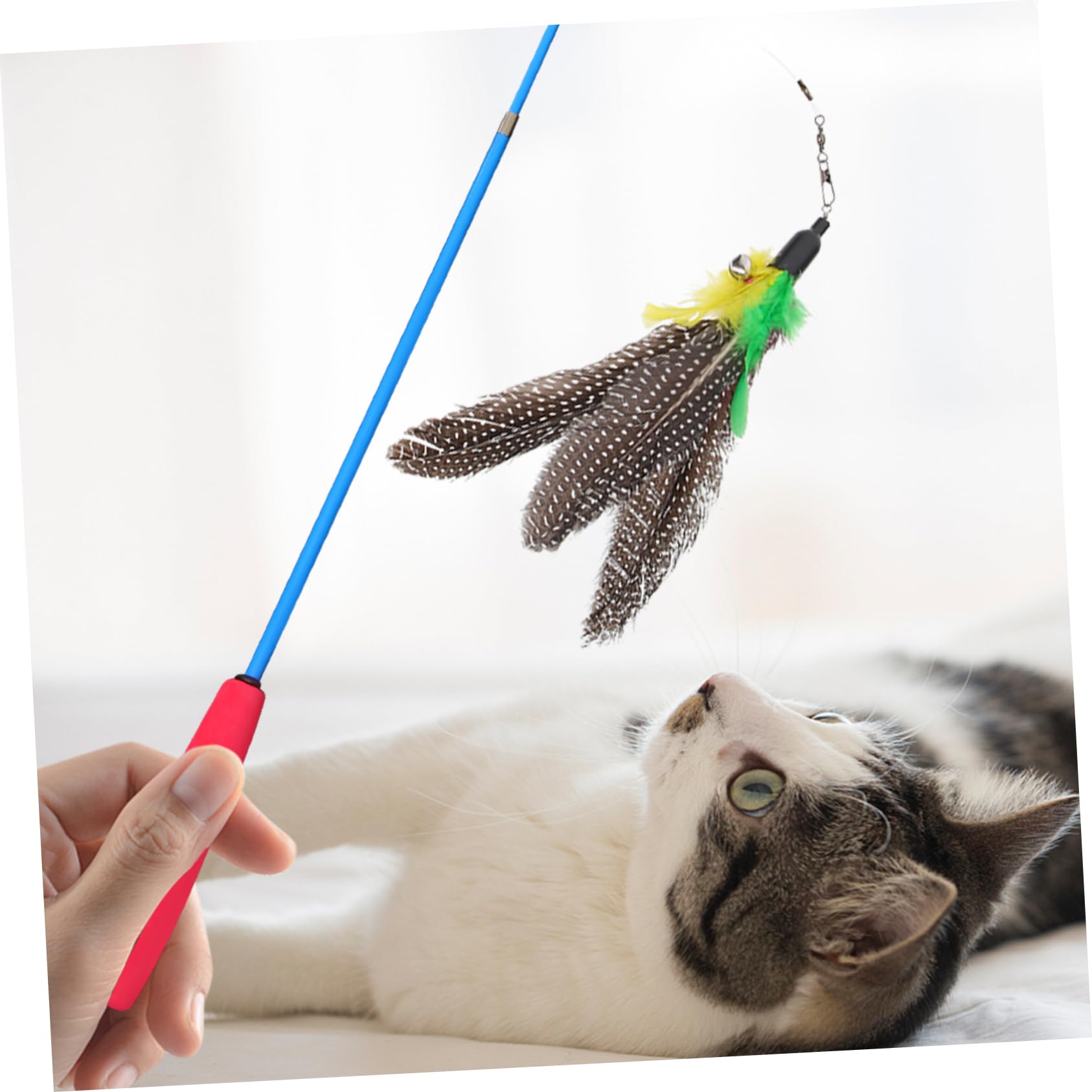 Katzenspielzeug für das Spielen im Innenbereich, 2 Sets, leichtes Design, fördert Bewegung und reduziert Stress für Kätzchen
