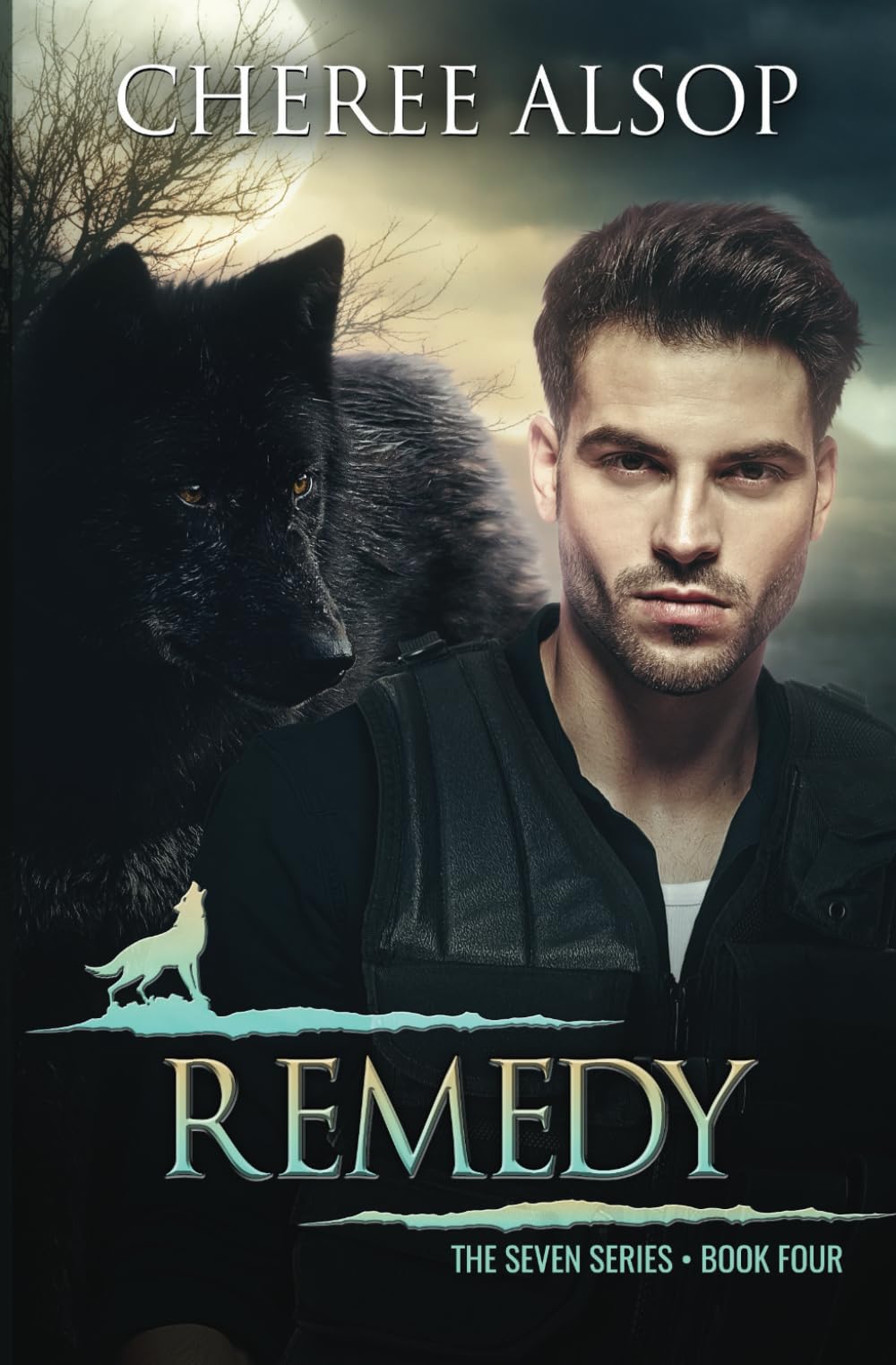 Remedy: The Seven Series Book Four: 4