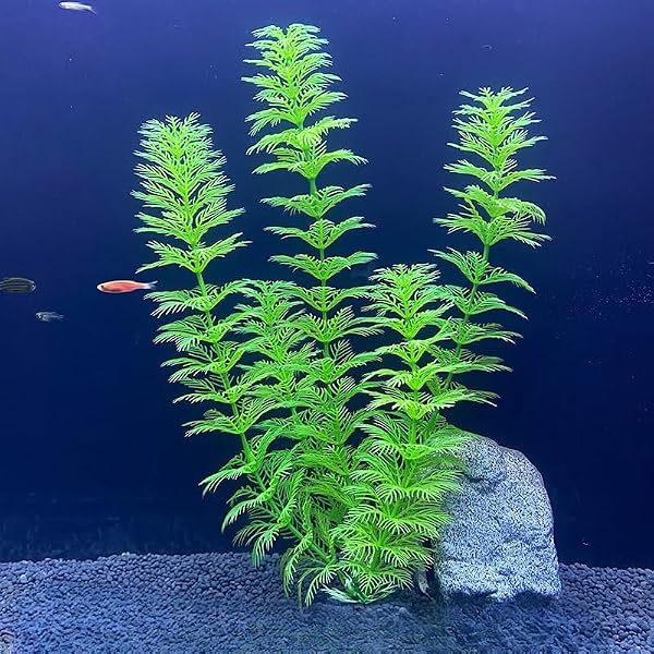 Plantas artificiales de acuario de 8.6 pulgadas, decoraciones de peceras de plástico, plantas acuáticas verdes realistas, accesorios para acuarios, terrarios (X1213-verde) - 1