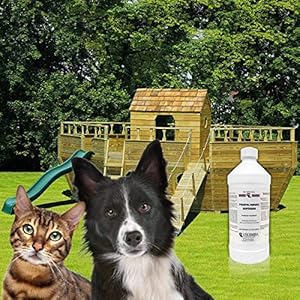 Pyrantel-Pamoate-Suspension-50-MG-32-oz-Bottle - Cucciolini Doodles   Pyrantel-Pamoate-Suspension-50-MG-32-oz-Bottle