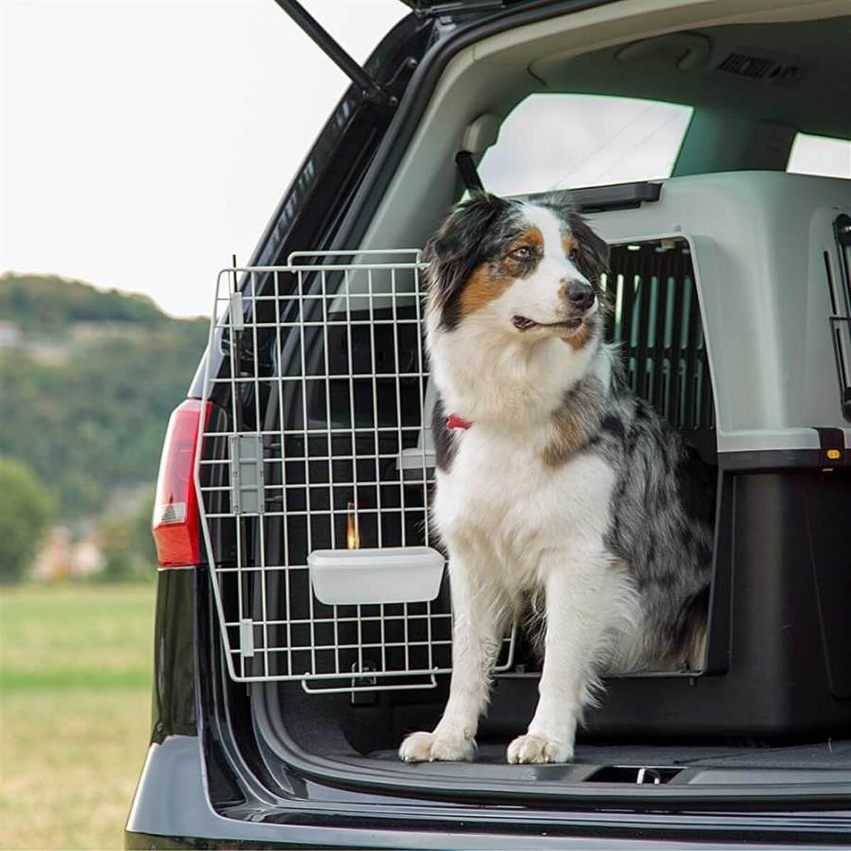 Ferplast Transport pour Chiens de Taille Moyenne Atlas 40 Professional, Box pour Le Transport D'Animaux avec Abreuvoir Inclus, 49 X 68 X H 45,5 cm Gris Ferplast Transport pour Chiens de Taille Moyenne Atlas 40 Professional, Box pour Le Transport D'Animaux avec Abreuvoir Inclus, 49 X 68 X H 45,5 cm Gris