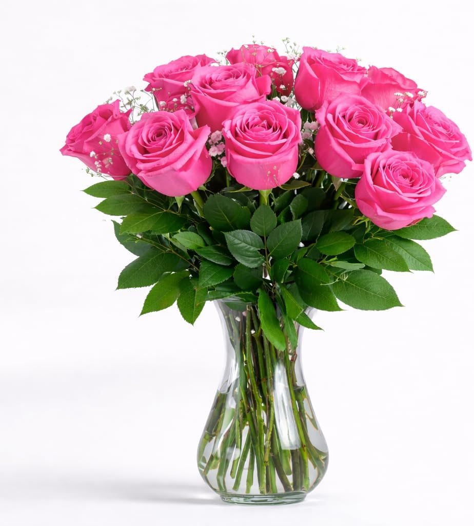 GlobalRose Fresh Dozen Hot Pink Roses & Fillers - Fresh Flowers Bouquet for Valentine's Day